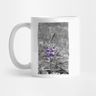 Lupine Mug